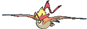 Mega Pidgeot