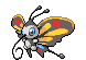 Beautifly
