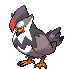 Staraptor